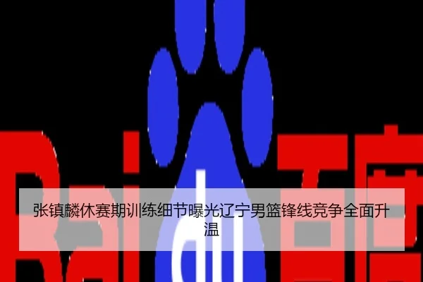 张镇麟休赛期训练细节曝光辽宁男篮锋线竞争全面升温