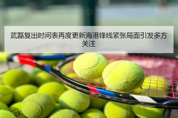 武磊复出时间表再度更新海港锋线紧张局面引发多方关注